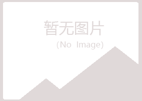 永川字迹造纸有限公司